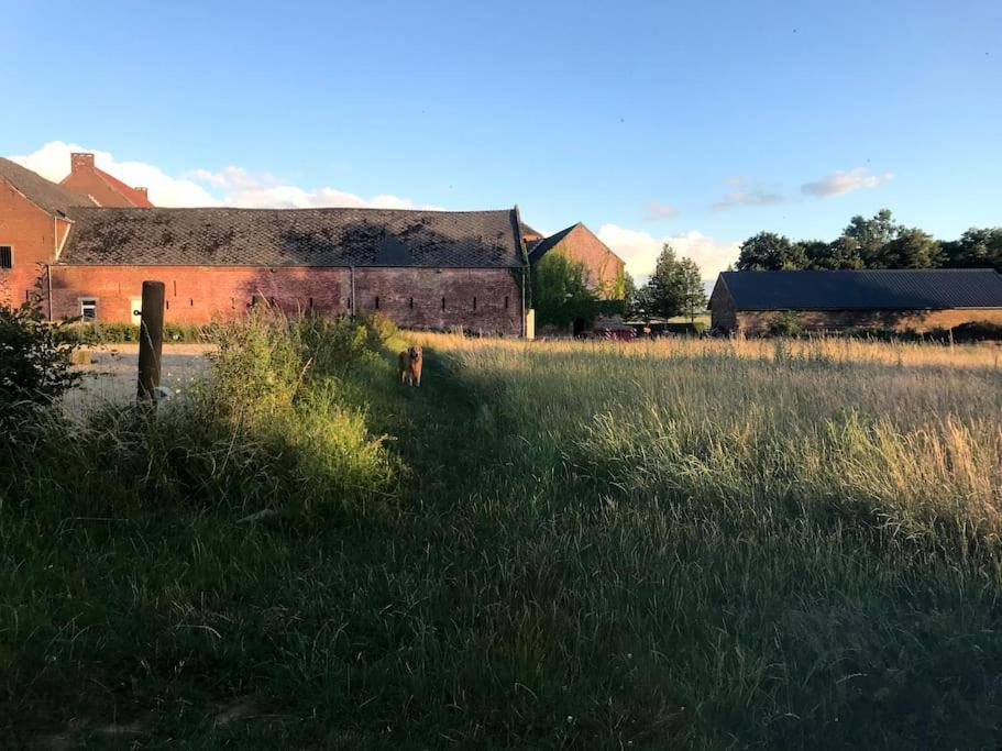 Le - Maison De 6 A 8 Personnes - La Ferme Du Try Frasnes-lez-Gosselies